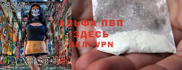 ПСИЛОЦИБИНОВЫЕ ГРИБЫ Белоозёрский