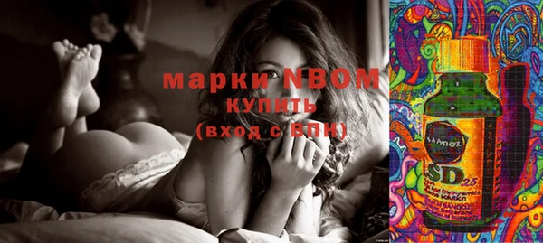 ПСИЛОЦИБИНОВЫЕ ГРИБЫ Белоозёрский