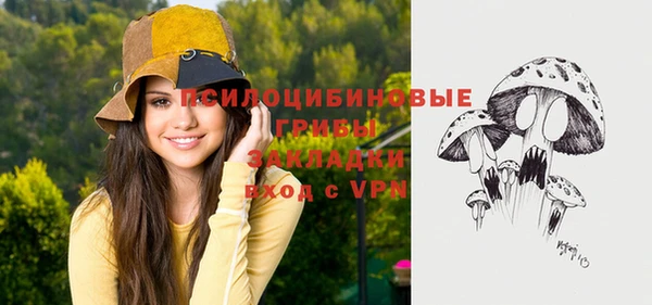 ПСИЛОЦИБИНОВЫЕ ГРИБЫ Белоозёрский