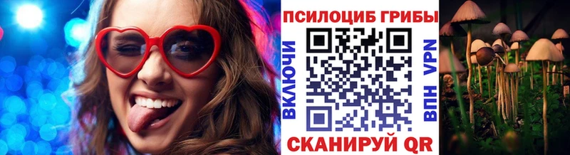 сколько стоит Ершов MEGA онион Псилоцибиновые грибы Cubensis
